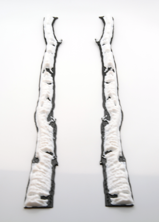 Birch Tree Skate Rails for Snowboards