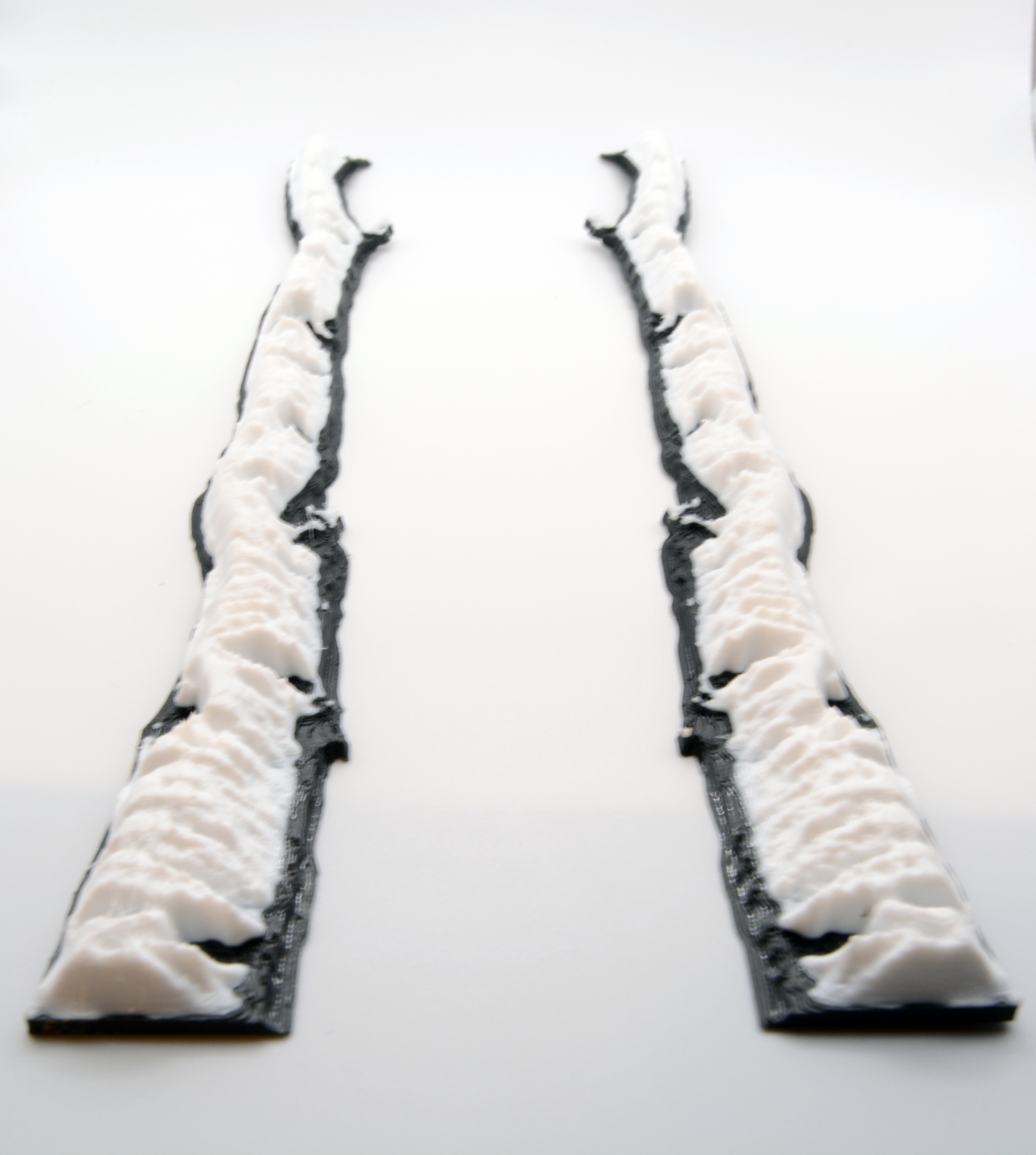 Birch Tree Skate Rails for Snowboards