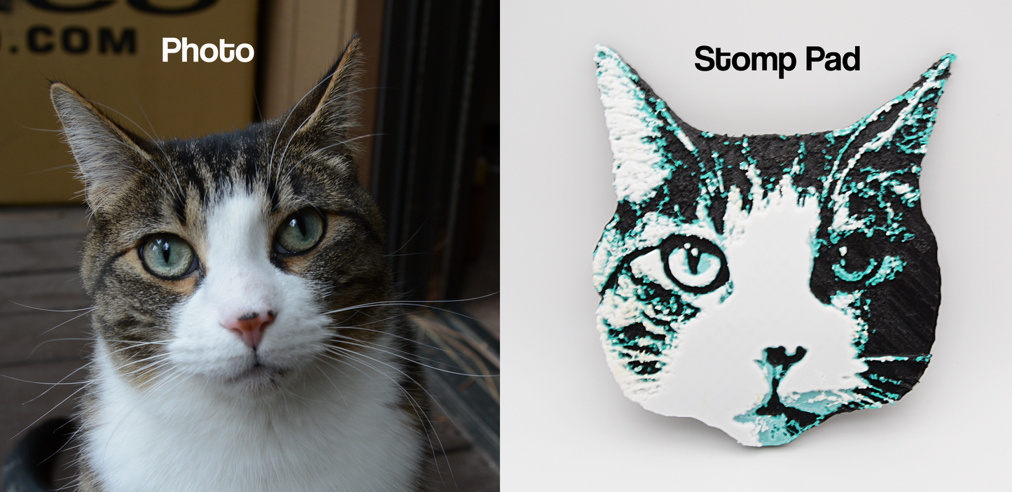 Turn Your Cat Or Any Pet Into A Snowboard Stomp Pad